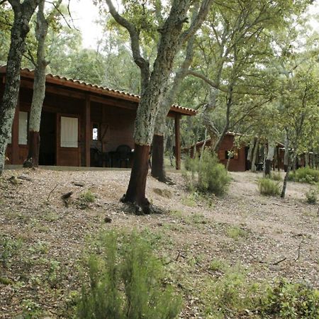 Camping Maçanet de Cabrenys Екстериор снимка