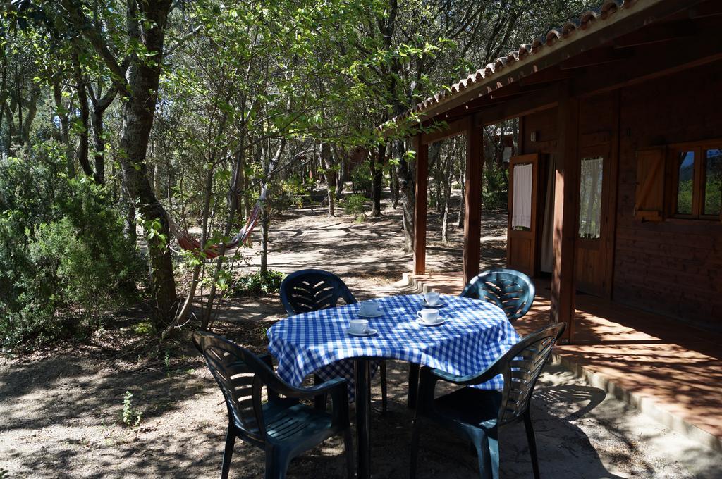 Camping Maçanet de Cabrenys Екстериор снимка