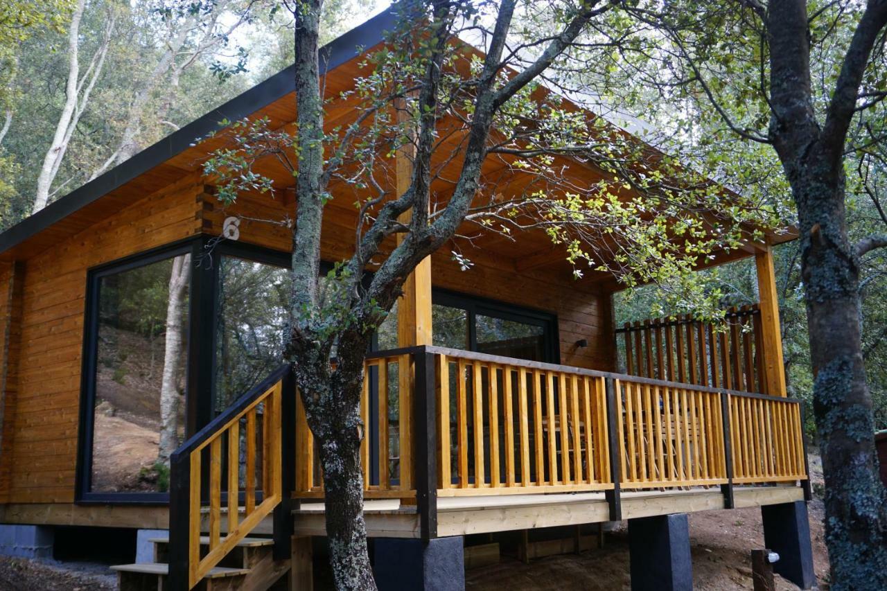 Camping Maçanet de Cabrenys Екстериор снимка