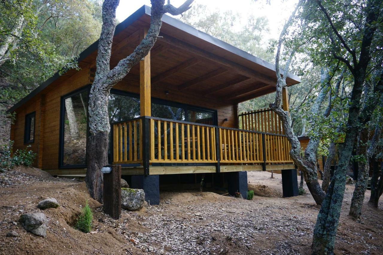 Camping Maçanet de Cabrenys Екстериор снимка